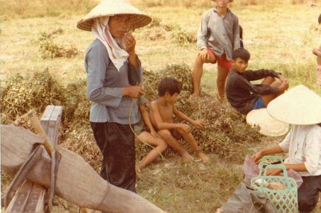 A  roadside vendor